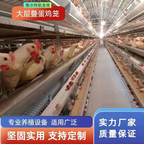 层叠式蛋鸡笼全自动养殖笼具 三层四层热镀锌鸡笼子养鸡设备