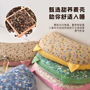 2024新款韩式全棉猫耳朵荞麦枕头硬枕芯纯荞麦壳护颈枕芯直播