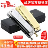 SW10孔自学成人十N40初学者A孔演奏专业C调半音阶口琴高级音天鹅