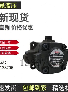 台湾EALY弋力VDC-1A-F40D-20油泵VDC-1A-F30A-20 VDC-1A-F20B-20