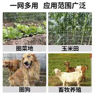 镀锌铁丝网围栏栅栏户外养殖防护钢丝网拦牛羊圈果园鱼塘铁网格网