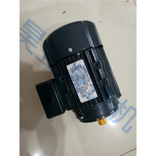 YSJ7126-SWC YSJ7124 YSJ8024 立式三相电机  THREE PHASE MOTOR