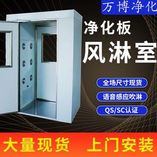 彩钢板风淋室感应互锁人双吹风淋门缓冲间风淋通道净化板风淋室