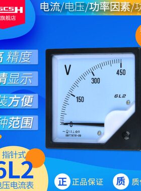 V250/304010L060250/450/2030/50//电压表A75/0L指针式电流表42/
