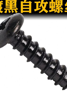 M5圆头大伞螺钉大扁头自攻螺丝木蘑菇黑色十字头M4M620*螺丝钉头