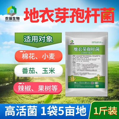 农保1000亿/g地衣芽孢杆菌分解有机质重茬病护苗促生根孤胆解磷菌