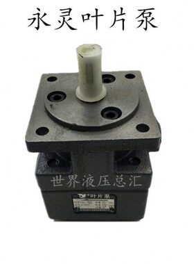 1仙 -50 Y1B居永灵仙 YB31.5CLY-Y叶片泵居先顶叶片泵B1-40