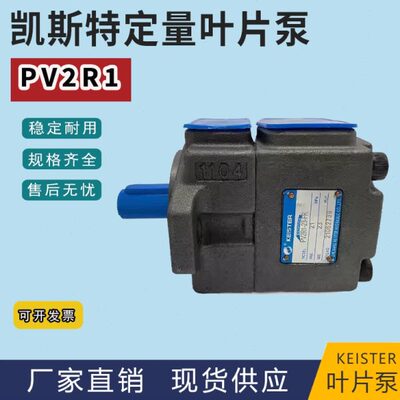 凯斯特KEISTER叶片泵PV2R1-10 14 17 19 23 25 28 31-FR 液压油泵