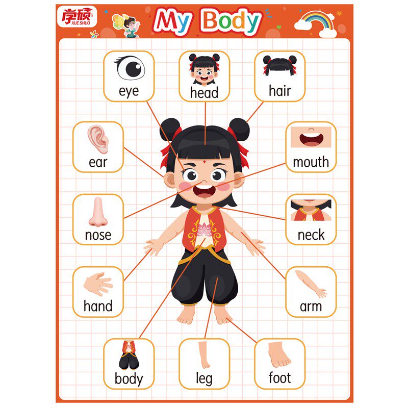 卡通哪吒身体部位英文单词幼儿园启蒙早教配对游戏挂图教学磁性贴