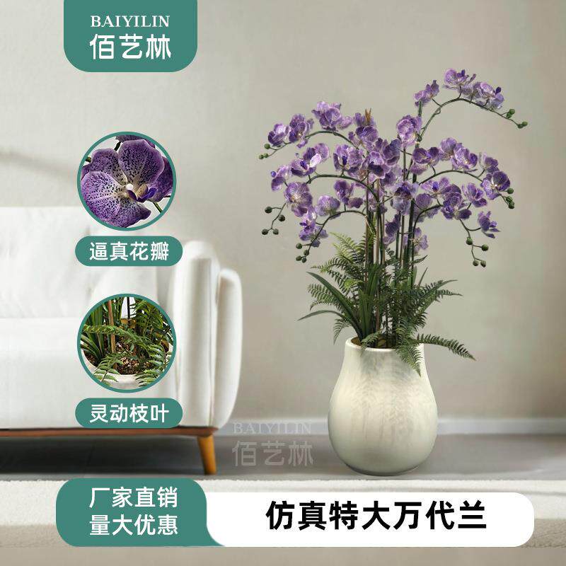 特大万代兰欧式仿真花客厅装饰吸睛神器家居布置氛围感拉满