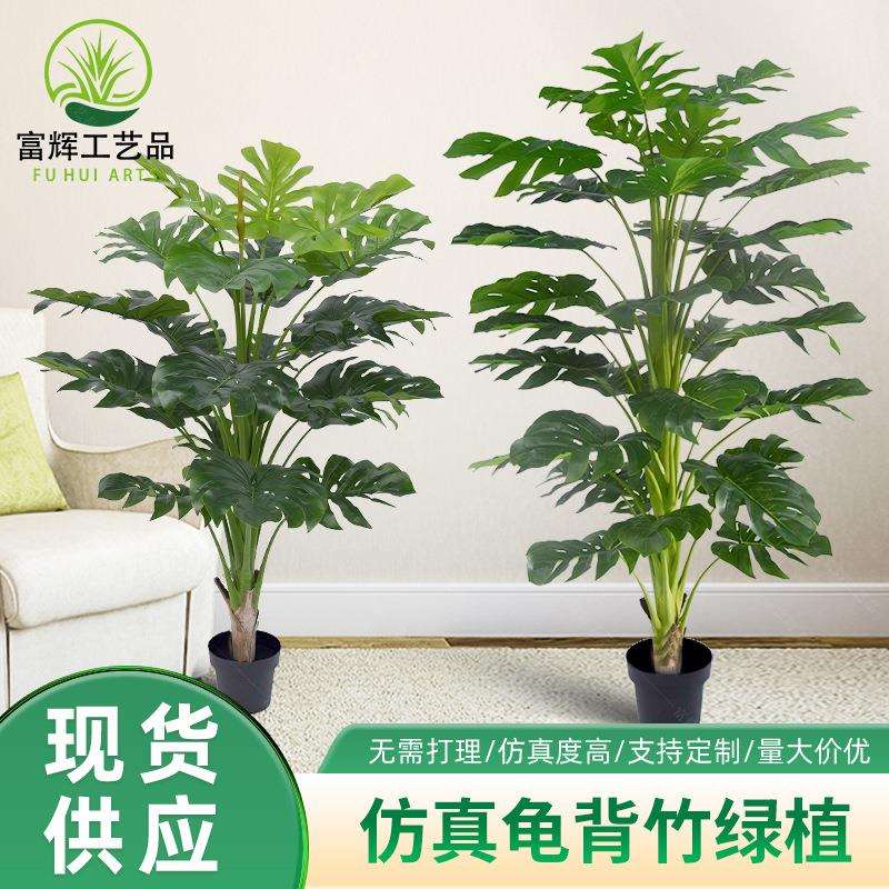 仿真龟背竹绿植客厅大盆栽现货高端假植物盆栽蓬莱蕉塑胶龟背叶