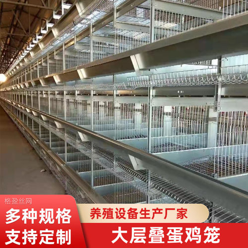 全自动层叠镀锌蛋鸡笼
