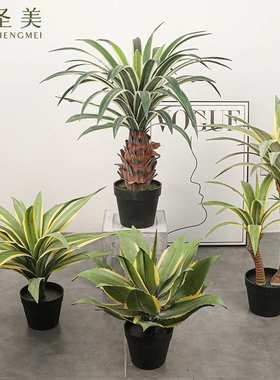 仿真龙舌兰白边金边剑麻剑兰树假树客厅装饰丝兰树大型植物盆景