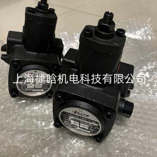 0VP20 FA1 0液压系统变量油泵 ELITE叶片泵VP