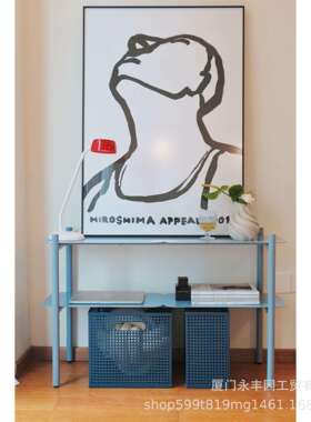 嘻物所BABY蓝色双层置物架设计铁制收纳客厅现代简约北欧小型