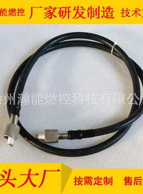 供应WGD-12电子高能点火器装置 含点火杆点火线缆