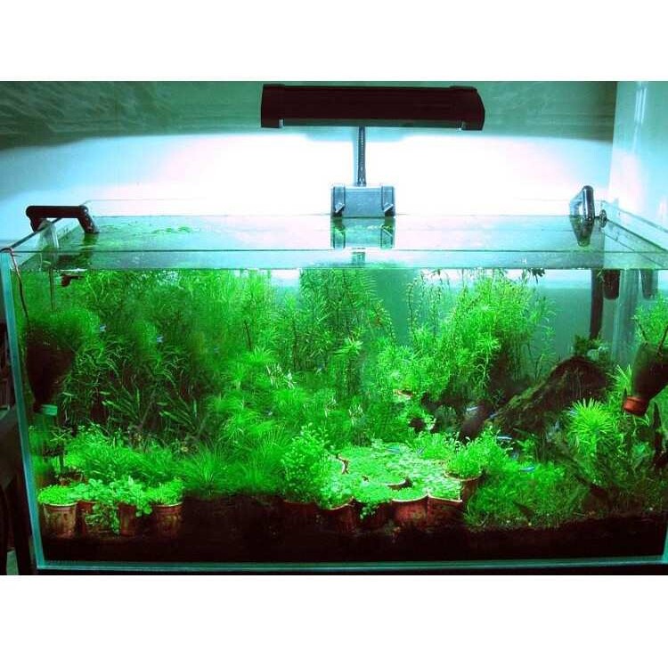 奥德赛金卤灯 金卤夹灯 水草金卤灯 70w 150w 海水珊瑚金卤灯