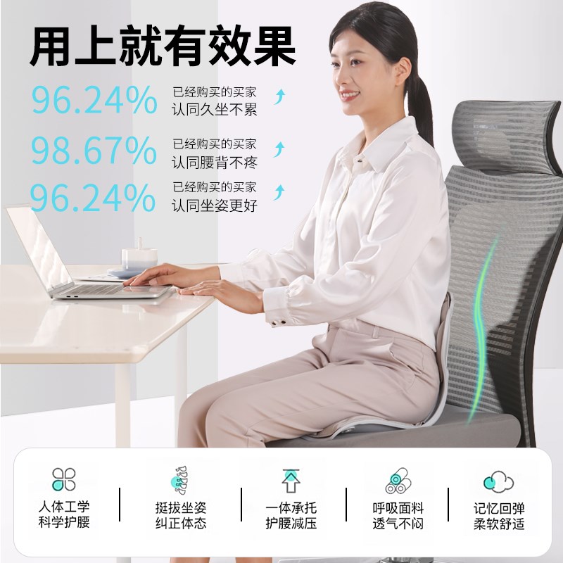 ZTM护腰座垫成人学生办公室一体成型久坐不累靠背垫腰部支撑腰垫