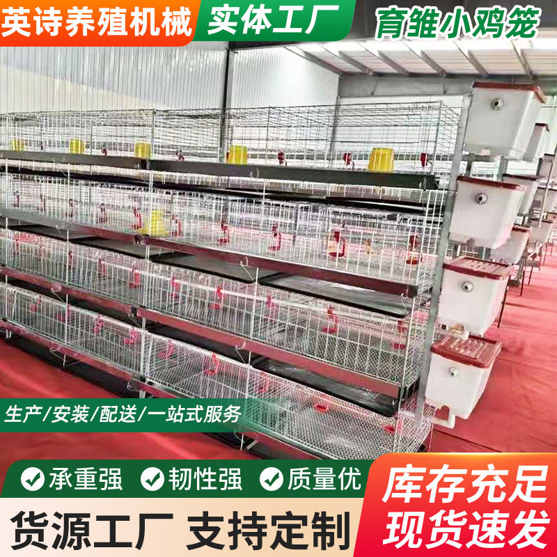 雏鸡育雏设备厂家鸡舍养殖厂H型四层小鸡笼现货充足安装方便
