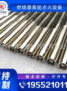 化工发电厂窑炉点火燃烧棒 SXDZ-1-3650 工业用高能放散点火装置