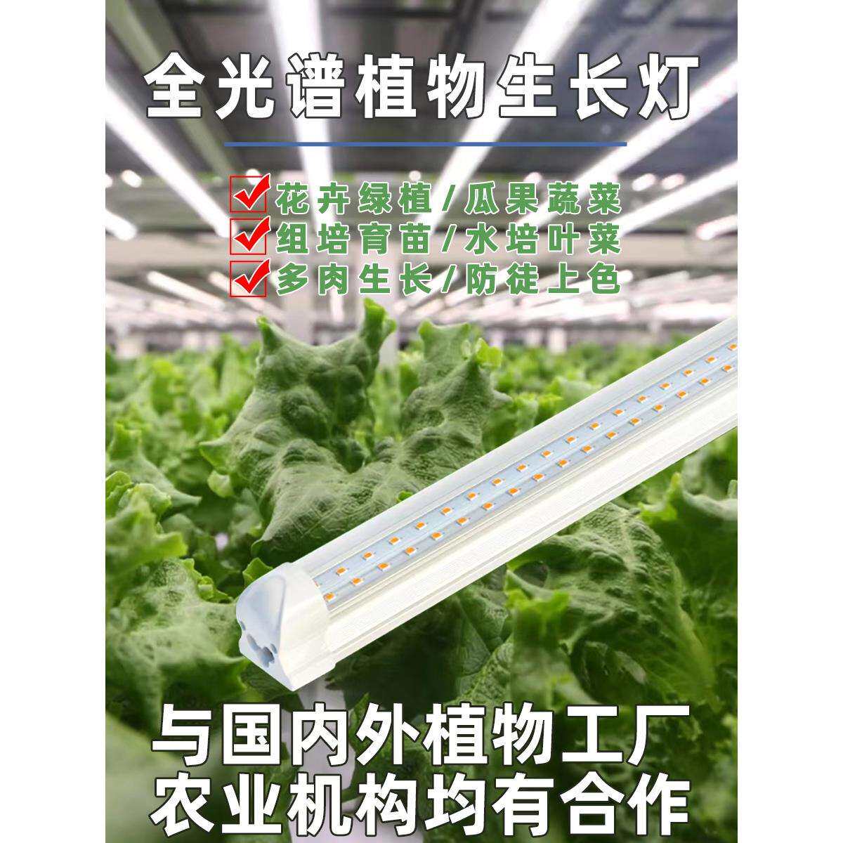 未来植物补光灯全光谱植物生长灯水培叶蔬菜组培育苗绿植花卉草莓