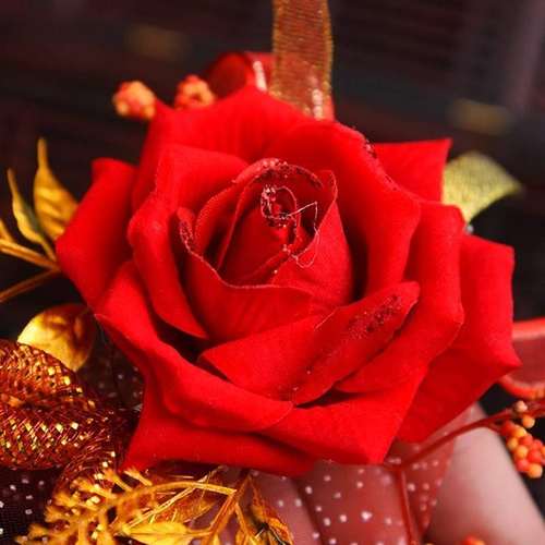 送亲主婚人 证婚人l 爷爷奶奶 岳父结婚 父母亲 哥哥嫂嫂 岳母胸