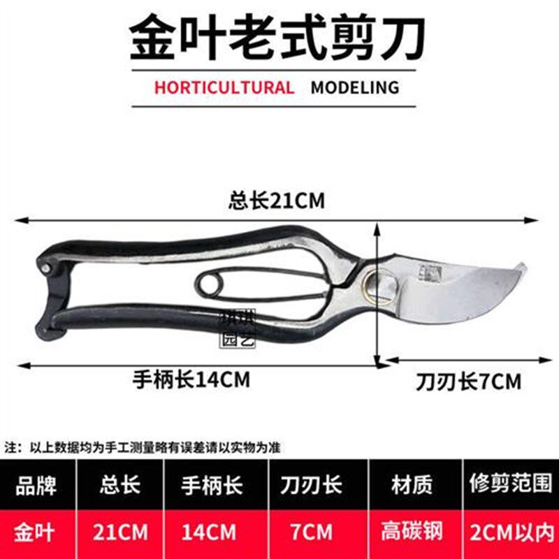 老式铁匠锻打土枝剪望儿山果树剪刀修枝剪园艺小剪刀修树枝古董剪