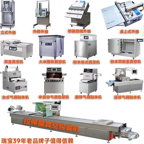 供应双室真空包装机泡菜凤爪平板真空封口机商用