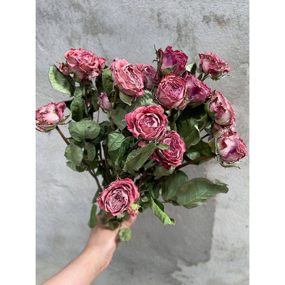 马年蔷薇新品多头玫瑰干花束真花风干学生校园手工干花材diy2026,鲜花速递/花卉仿真/绿植园艺,干花,淘宝优惠券,粉丝福利购,淘宝优惠卷