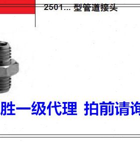 8管道i 1康茂胜（康茂盛）31 zzmo/1直250/螺纹接头ca通外2502