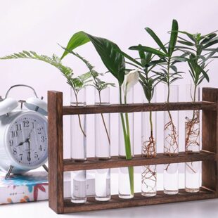 容架插花绿植试管水养器摆件简约水培装饰花植物玻璃花瓶木架木质