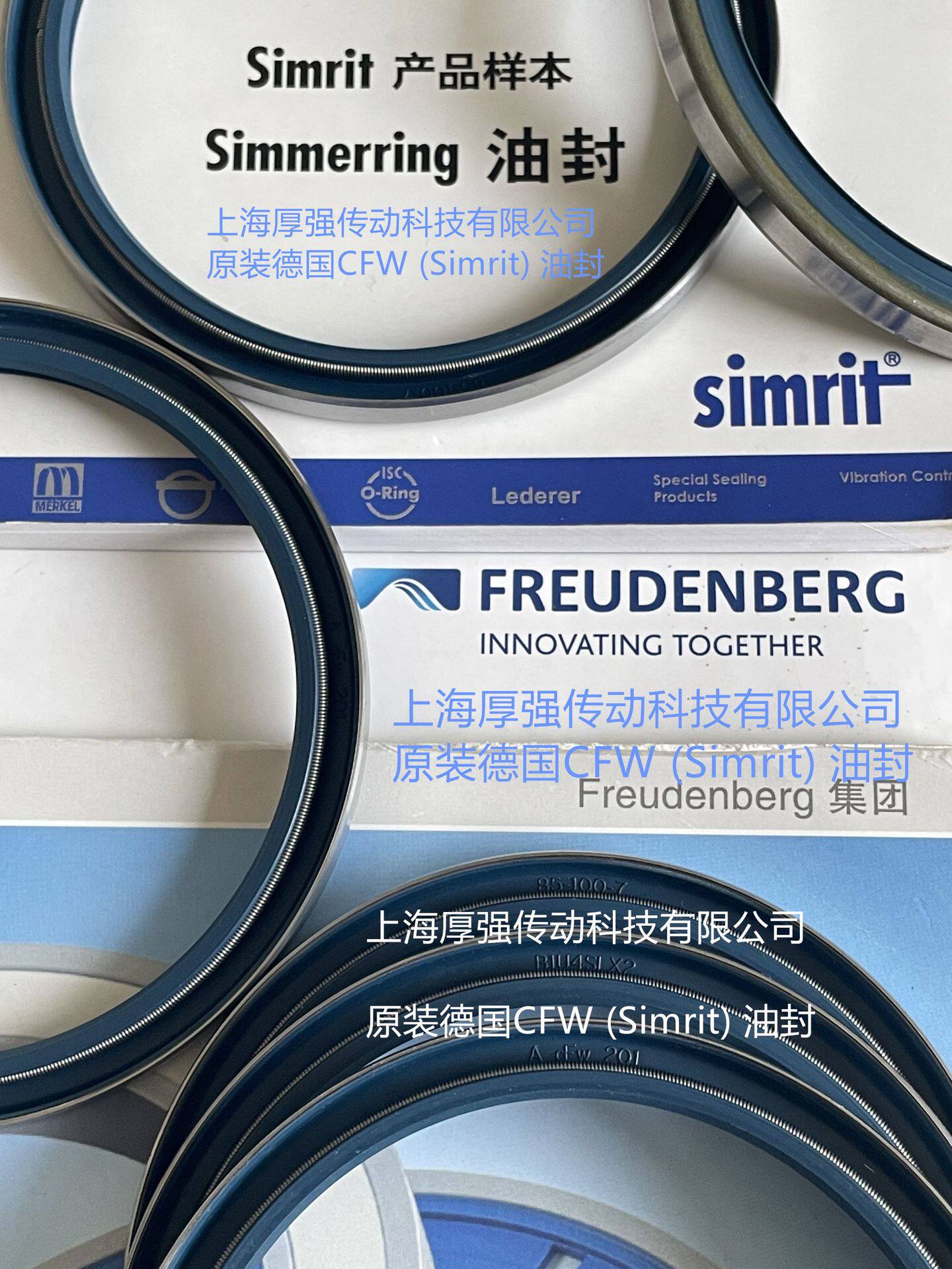 德国CFW/Simrit/FREUDENBERG恩福油封AcFw201B1U4SLX285-100-7