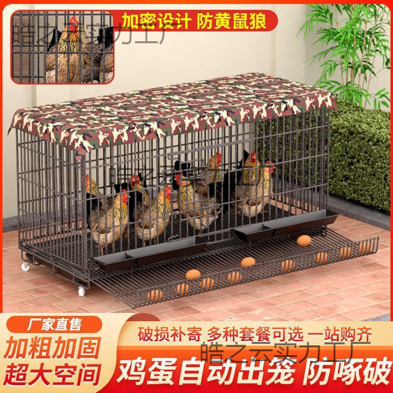 鸡笼子家用特大号家禽阳台折叠狗笼养殖清粪室外自动滚蛋鸡垒德株