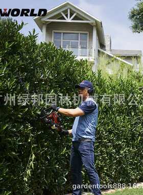 沃得WORLD二冲程汽油绿篱机WT6010双刃整篱笆机 园艺造型修理机