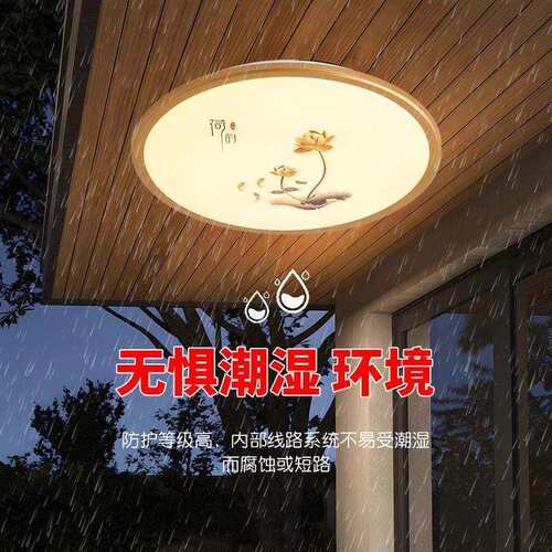 户外吸顶灯防水阳台屋檐室外农村自建房别墅大门口新中式照明灯