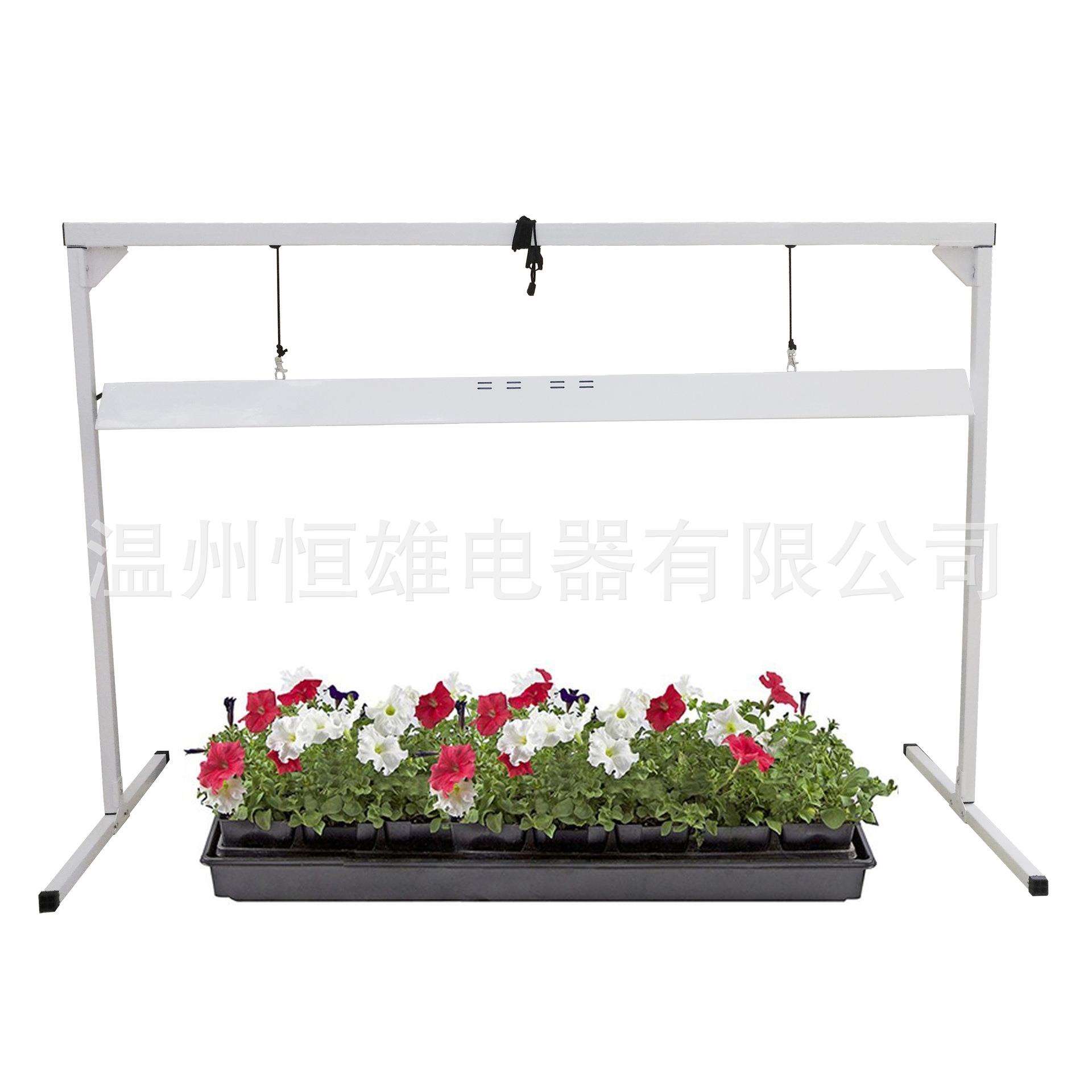 育苗用植物生长补光灯照明灯水培用T5荧光灯泡灯具套件带支架