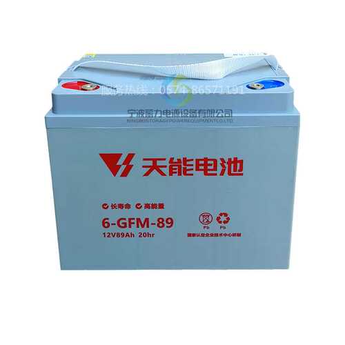 天能小金刚6GFM89蓄电池中诺力达托盘堆垛车搬运车升高液压车电瓶