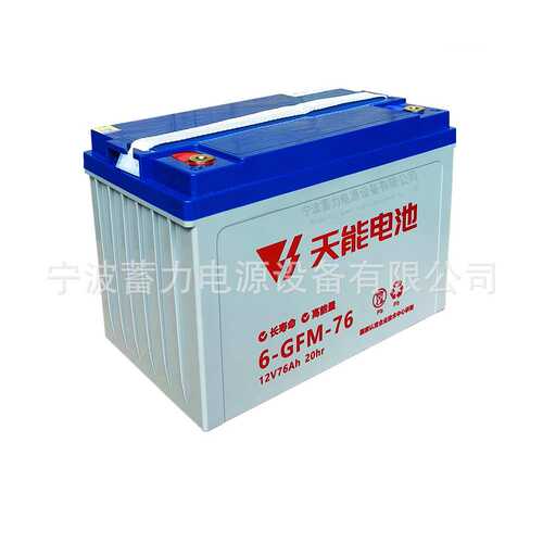 6GFM75蓄电池电动托盘搬运车叉车小金刚地牛小精灵12V76