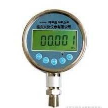 数显压力标准表 大气绝压表 可选电流测量24V输出精密数字压力计
