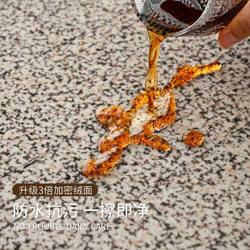 现代客厅地毯耐脏易打理2025新款高级免洗可擦防水防污加厚地垫