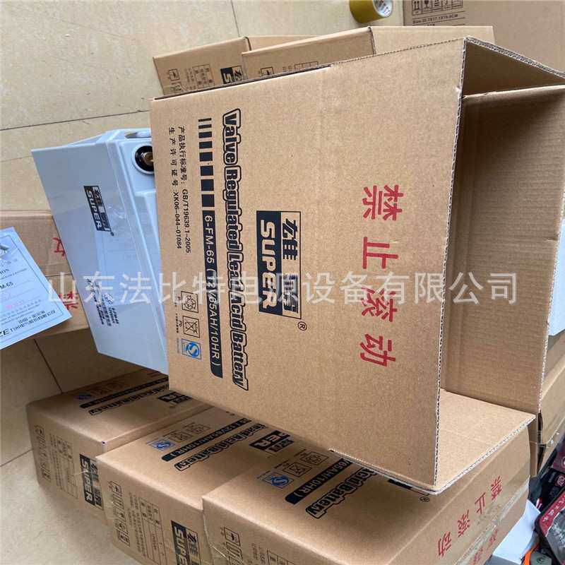 雄霸铅酸免维护蓄电池6-FM-100/12V-100AH直流屏EPS 雄霸6-FM-100