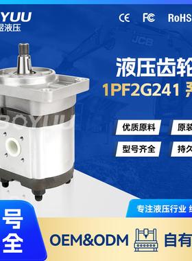1PF2G241016RS20MA齿轮泵用于工程机械工业车辆厂家直销质量好