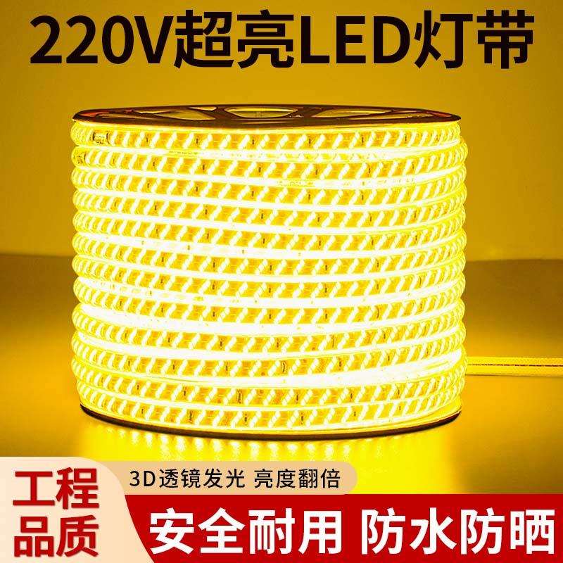 220v超亮led灯带门头广告牌室外庭院照明灯条别墅自建房外墙