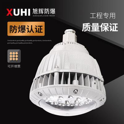 XHD530免维护LED防爆灯20W30W40W50W60W/防爆照明灯/路灯节能超亮