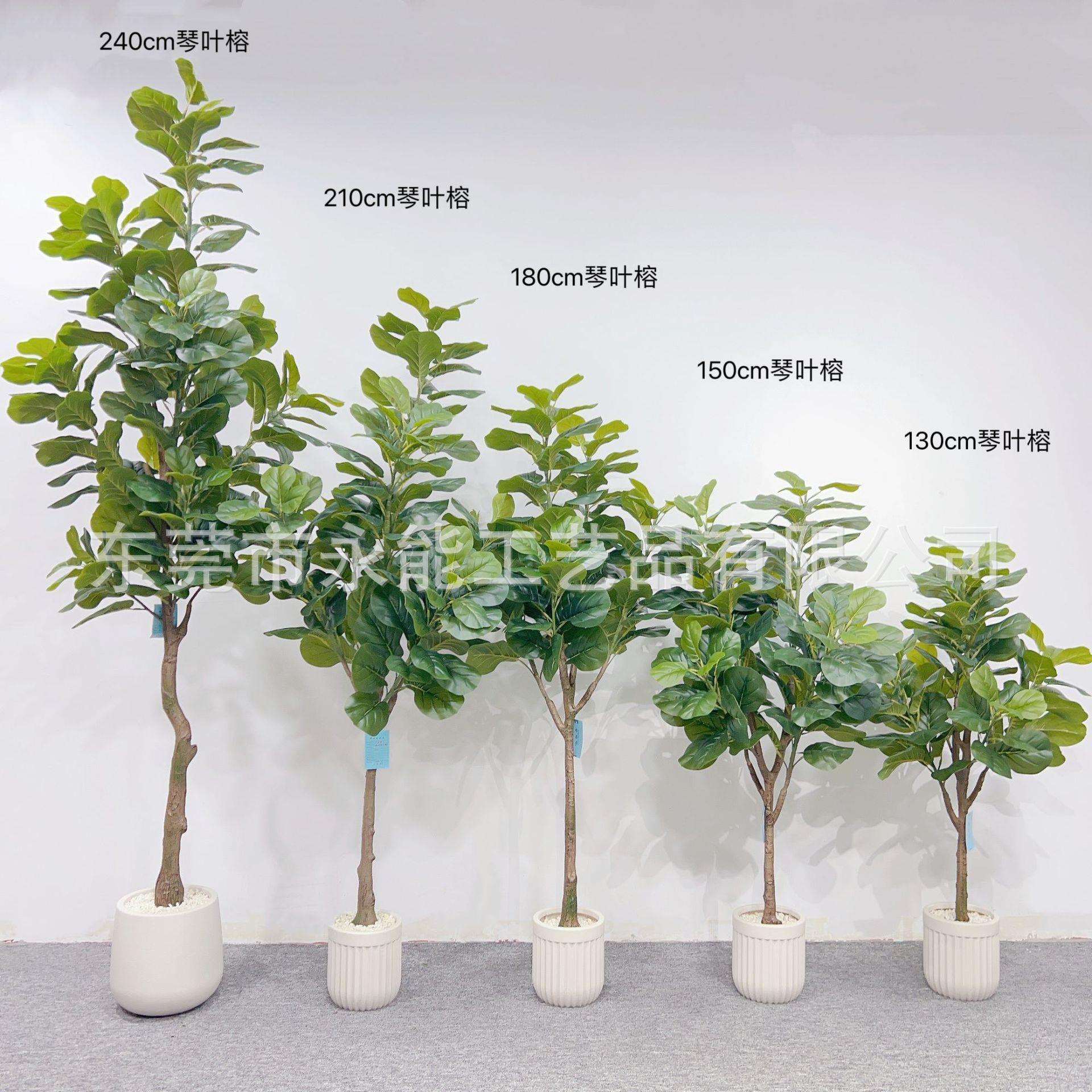 新款仿真琴叶榕仿真琴叶榕树落地盆栽摆件家居店铺直播间造景装饰