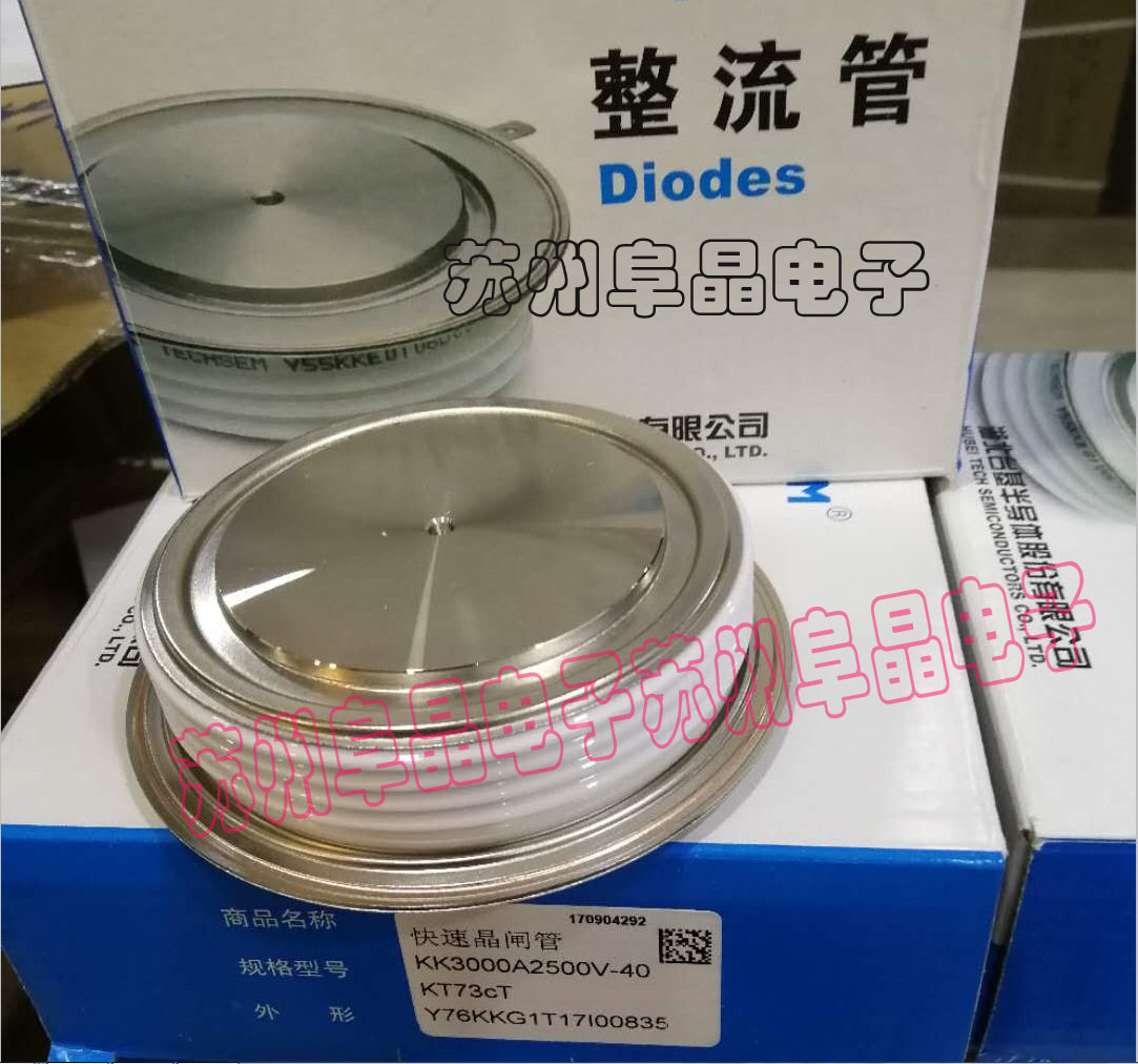 TECHSEM晶闸管Y100KKJ3100-4000V台基平板可控硅