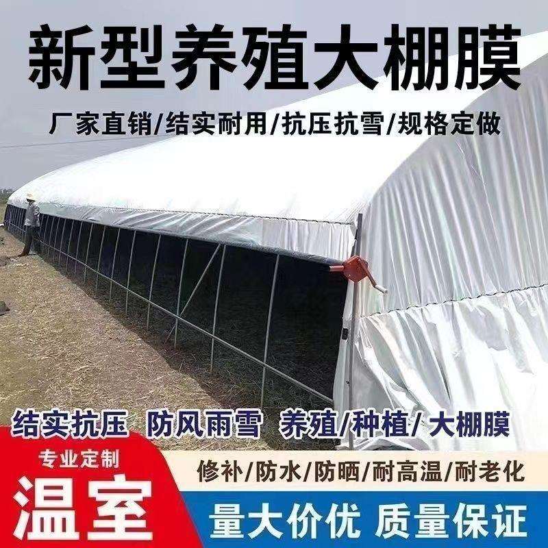 遮阳防雨布养殖进口加厚遮阳大棚抗老化隔热膜反光黑白膜保温防晒