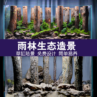 香槟木树干造景鱼缸水族箱森林直木装饰雨林水陆缸造景套餐非沉木