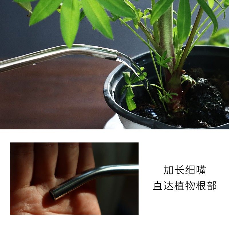 浇花壶长嘴多肉浇水壶浇花家用尖嘴洒水壶弯嘴长嘴壶园艺浇菜水壶,鲜花速递/花卉仿真/绿植园艺,洒水/浇水壶,淘宝优惠券,粉丝福利购,淘宝优惠卷