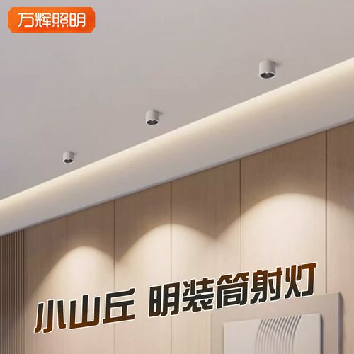 明装射灯无主灯筒灯客厅家用卧室走廊过道背景吸顶小山丘圆形防眩